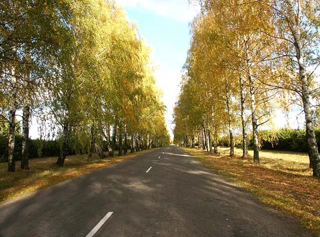 uslugi i ohota 1